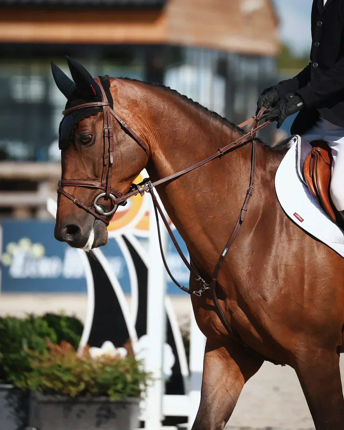 Så rengör och sköter du ditt Bhoof läder