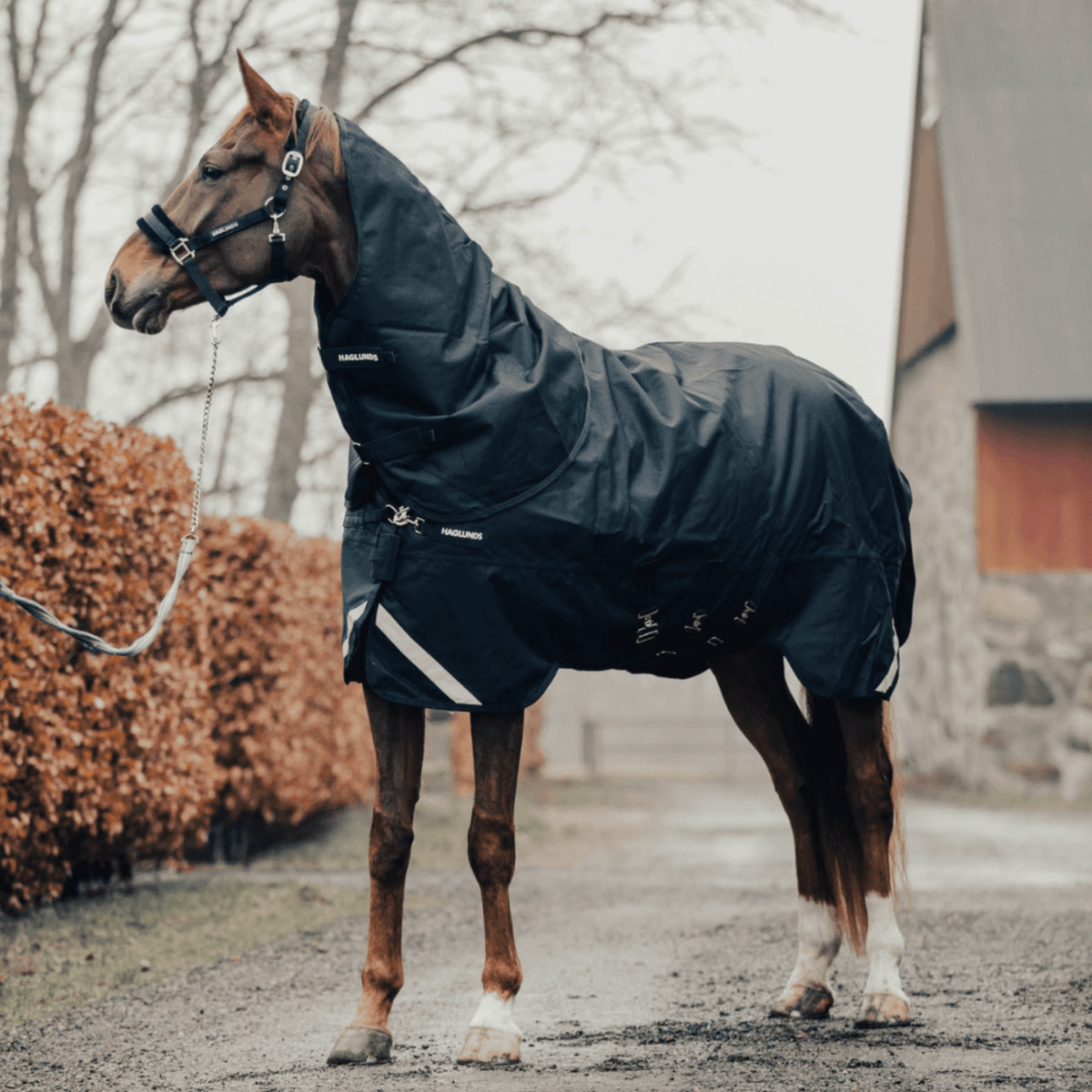 Haglunds – Cavallan AB
